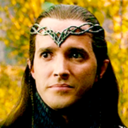 downtotheforest avatar