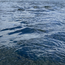 downtotheriver avatar