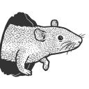 downtothewell avatar