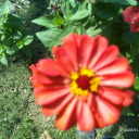 downtowns-stuff avatar