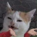 downyeventfularcader avatar