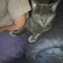 doyouknowwhatthisstateisbuilton avatar