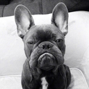 doyoulikemyfaceido avatar