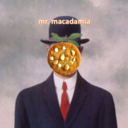 dr-macadamia-and-his-giraffe avatar