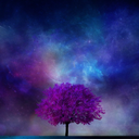 dracarys--stormborn avatar