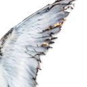 draconicsuggestion avatar