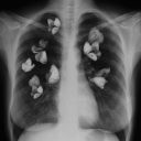 dracosdragons avatar