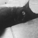 drag-me-to-the-fucking-grave avatar