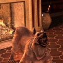 dragon-age-dumbassery avatar