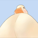 dragon-frootie avatar