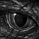 dragon-nessie avatar