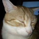 dragon-of-honnalee avatar