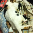 dragondamestuff avatar