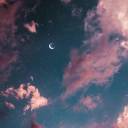 dragonfly-924 avatar