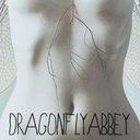 dragonfly-thinspiration avatar