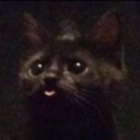 dragonholmes88 avatar