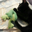 dragoninatardis avatar