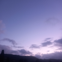 dragoninthewoods avatar