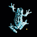 dragonloveblackwhite avatar