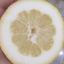 dragononawagon avatar