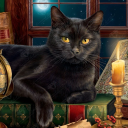 dragonqueenofthebooklands avatar