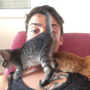 dragons-slumber avatar