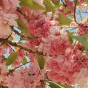 dragonsandstardust avatar