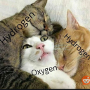 dragonsarekooool avatar