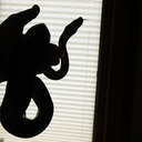 dragonsateyourtoast avatar