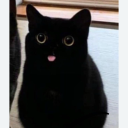 dragonscalesofold avatar