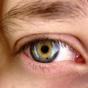 dragonsemblem avatar