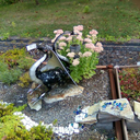 dragonslarimar avatar