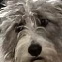 dragonslayer0013 avatar