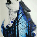 dragonwolfqueen3791 avatar