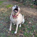 drakeftseanpaul avatar