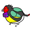 drakeofneopia avatar