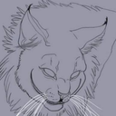 drakonicwords avatar