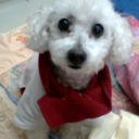 dramabear2 avatar