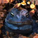 dramamineontopofme avatar