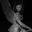 dramaticfangirling avatar