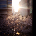 drambuiecat670813 avatar