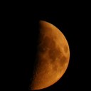 dravenwing666 avatar