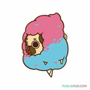 draw-the-future avatar