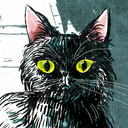 drawacataday avatar