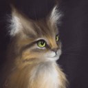 drawing-snow-owl avatar