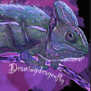 drawingdragonfly avatar