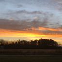 drawings-and-writings avatar