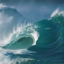 drawntotheocean avatar