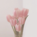 draxxylaaturuu avatar