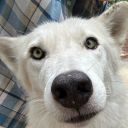 dread-and-butter avatar